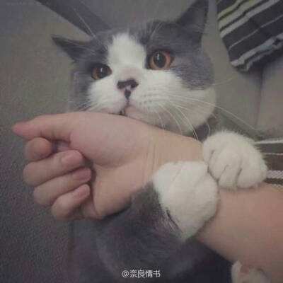 学习进行时｜跟着总书记看中华文明之“最”